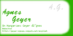 agnes geyer business card